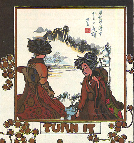 TurnIt.jpg
